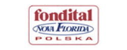 Autoryzowany serwis urządzeń grzewczych Fondital Nova Florida Polska, Śląsk, Siemianowice Śląskie